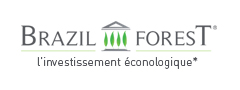 logo brazil